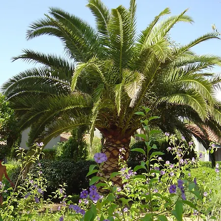 Blue Marine Porto-Vecchio (Corsica)