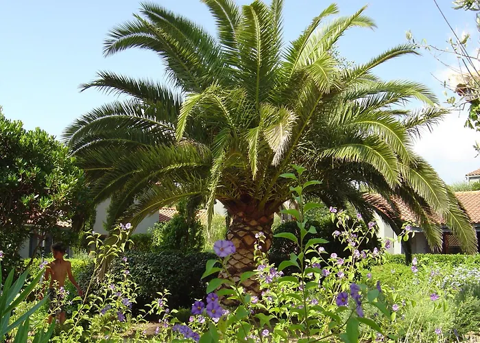 Blue Marine Porto-Vecchio (Corsica)