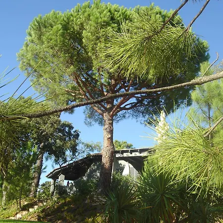 Holiday home Blue Marine Porto-Vecchio (Corsica)