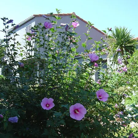 Semesterbostad Blue Marine *