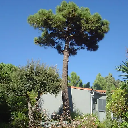 Semesterbostad Blue Marine