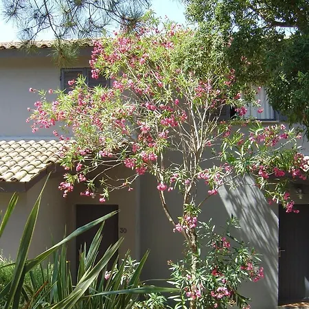 Blue Marine * Porto-Vecchio (Corsica)
