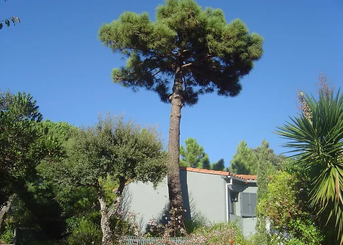 Сasa de vacaciones Résidence Blue Marine