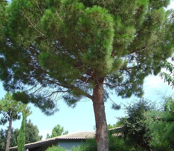 Résidence Blue Marine